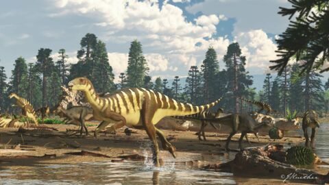 On a retrouvé un fossile de dinosaure de la taille d'un wallaby