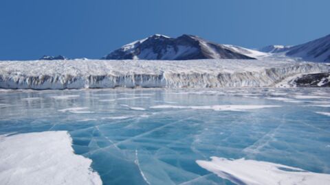 Des formes de vie inconnues pourraient se cacher sous la glace de l'Antarctique