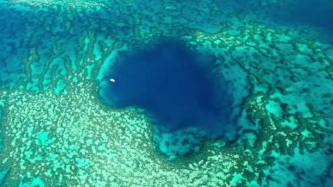 Un impressionnant "trou bleu" repéré au cœur de la Grande barrière de corail