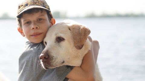 Diabète : des chiens pour détecter une glycémie anormale chez les enfants diabétiques