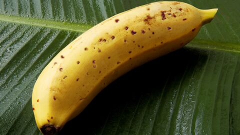 Voici Mongee, la banane que vous pouvez manger avec la peau inventée par des Japonais