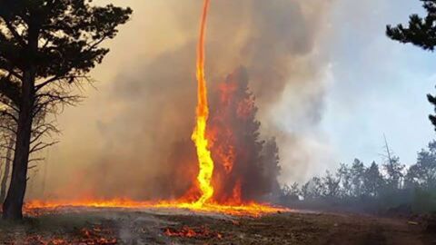 Un pompier filme une impressionnante tornade de feu en Californie