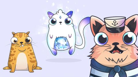 Cryptokitties, l'étonnant phénomène des chats virtuels de collection expliqué