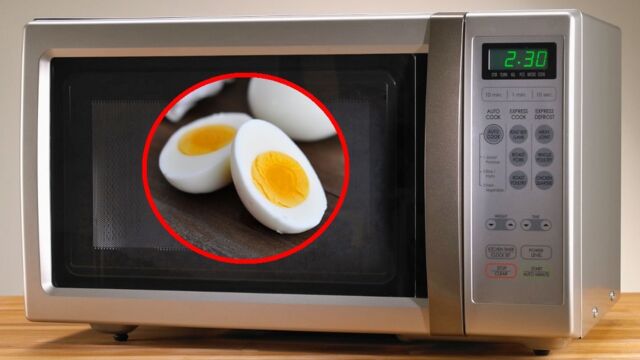 Comment cuire un œuf dur au micro-ondes ?