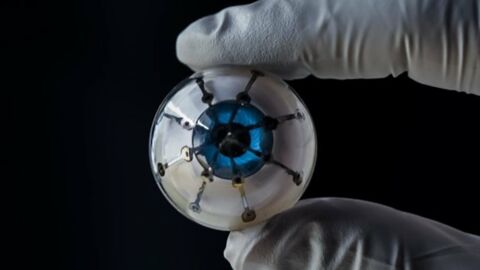 Un "oeil bionique" imprimé en 3D pourrait bientôt aider les aveugles et malvoyants