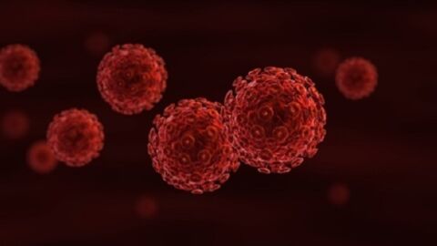 Vaccin contre le SIDA : des avancées prometteuses stoppées par le CNRS ?