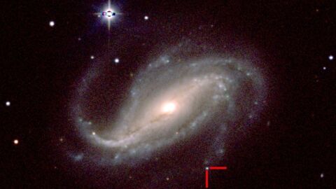 La naissance d'une supernova capturée pour la première fois par un astronome amateur