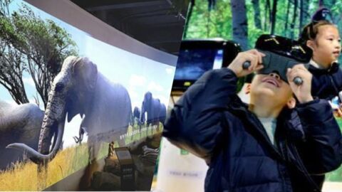 La Chine inaugure un zoo qui utilise la réalité virtuelle pour présenter des animaux