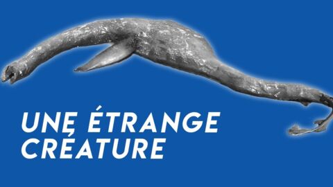Dans l'état de Géorgie, une étrange créature échouée rappelle le monstre du Loch Ness