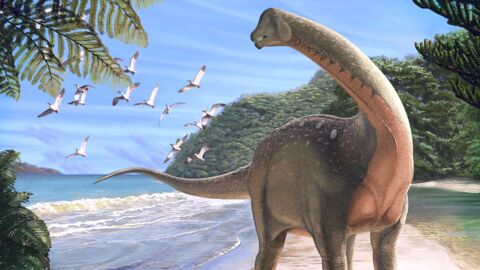 Un gigantesque dinosaure découvert en Egypte révèle de précieuses informations