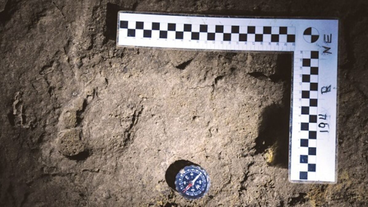 Les empreintes de pas humaines les plus anciennes en Afrique du Nord  découvertes à Larache - Le Desk