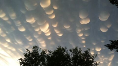 Phénomène météo extraordinaire : les nuages noctulescents