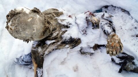 Deux mystérieux corps momifiés découverts au sommet d'un volcan mexicain