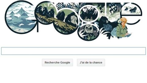 Dian Fossey : un Doodle Google hommage pour les 82 ans de la célèbre éthologue