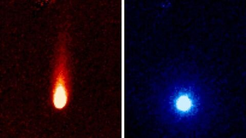 La comète ISON sème du dioxyde de carbone sur son passage