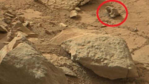 Curiosity découvre un... iguane sur Mars