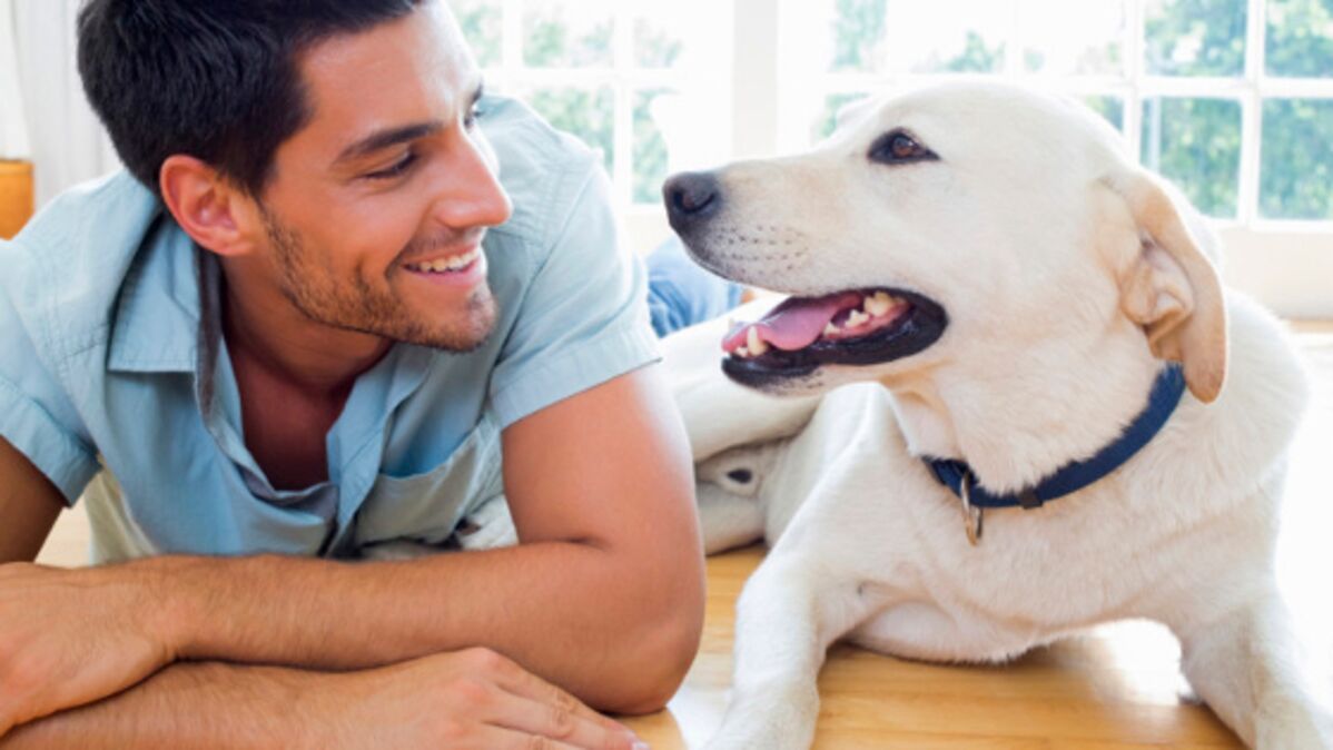 Comment Cloner Un Chien Avec Un Schéma D une Veritable Expérience Sooam Biotech, la société sud-coréenne qui propose de cloner votre chien mort pour 90 000 euros