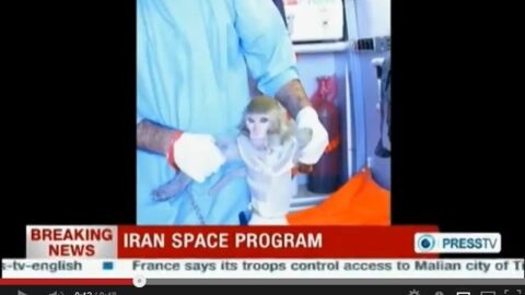 L'Iran envoie un singe dans l'espace et le récupère sain et sauf
