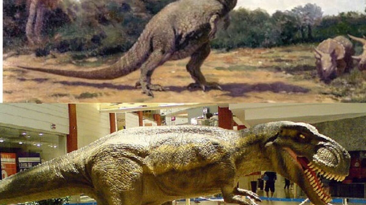 Découverte d'un nouveau dinosaure aux faux airs de T. rex