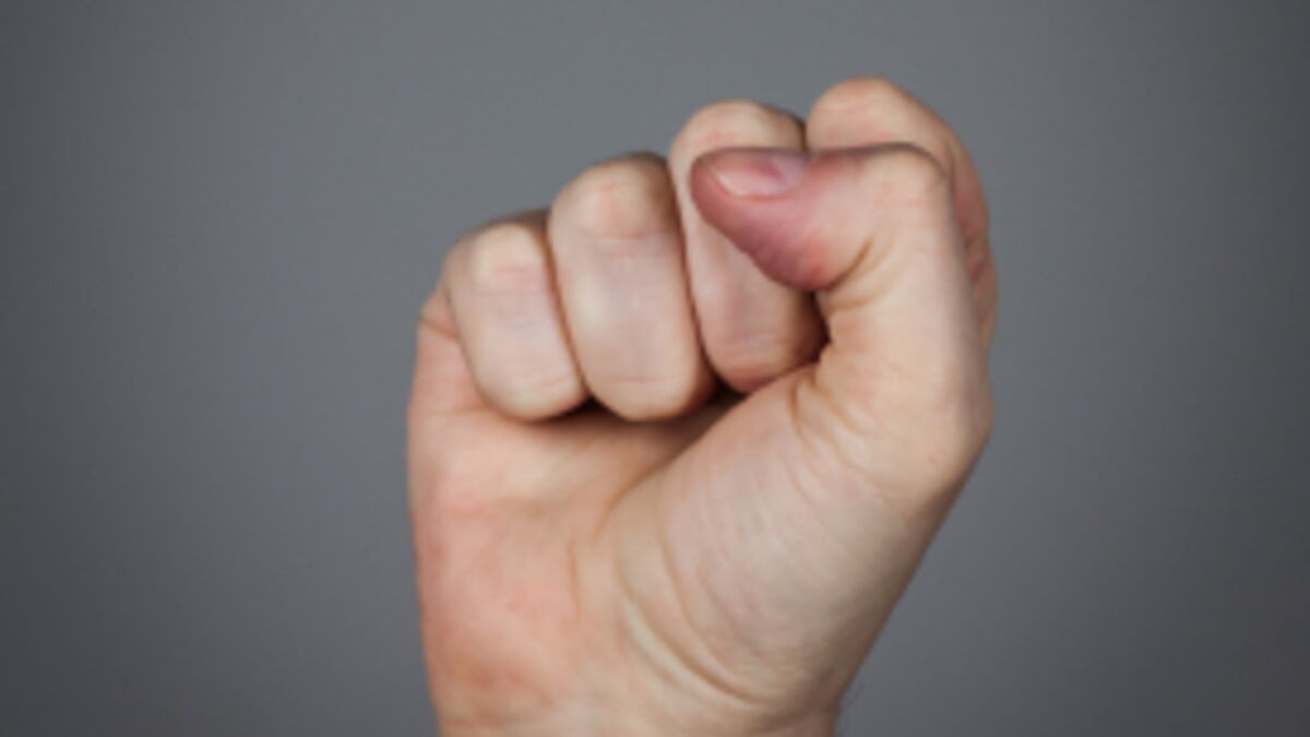 Et si notre main avait évolué pour donner des coups de poing