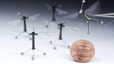 RoboBee, le plus petit drone jamais créé a la forme d'une mouche