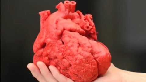Un coeur humain fabriqué avec une imprimante 3D d'ici 10 ans ?