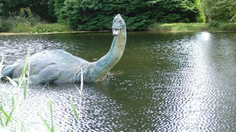 Le monstre du Loch Ness : Écosse, lac, ce qu'il faut savoir sur la légende