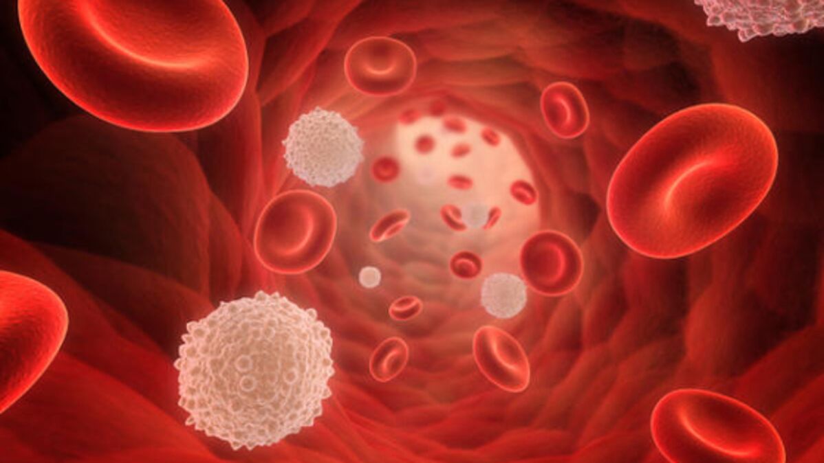 Cholestérol : HDL, LDL, symptômes, causes, définition et traitement, de  quoi s'agit-il ?