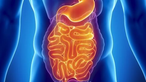 Maladie de Crohn : définition, symptômes, traitement, de quoi s'agit-il ?