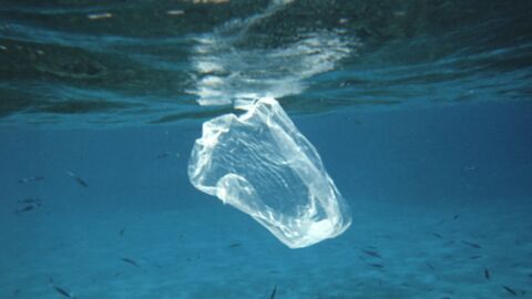 Des ingénieurs chiliens ont inventé un sac plastique soluble dans l'eau et non-polluant
