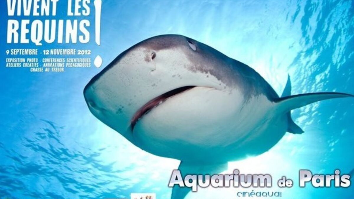 L'Aquarium de Paris lance une grande exposition sur les requins — free download