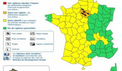 Louis XIV : combien d’enfants a-t-il eu au total