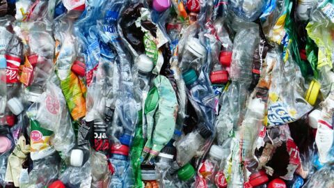 Des chercheurs ont trouvé un moyen de transformer du CO2 en plastique