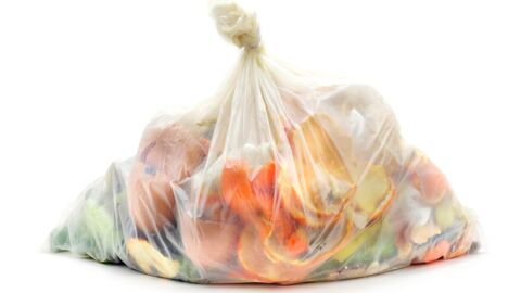 Les sacs plastiques biodégradables le sont-ils réellement ? La science répond