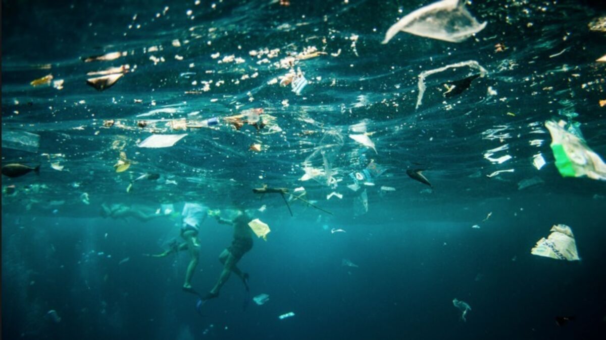 En 2050 Il Y Aura Plus De Plastique Dans Les Océans Que De Poissons