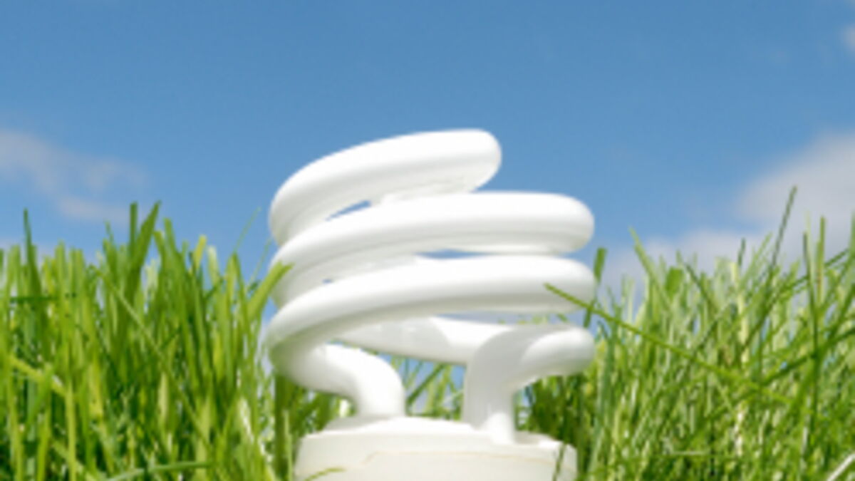 Recyclage les minerais rares des lampes à basse consommation réutilisés