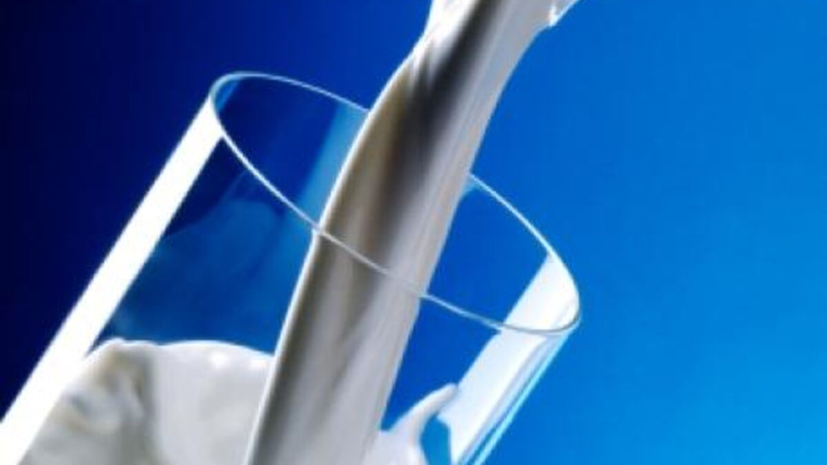 Les buveurs de lait vivent plus longtemps