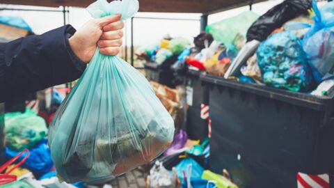 Les sacs plastiques biodégradables le sont-ils réellement ? La science  répond