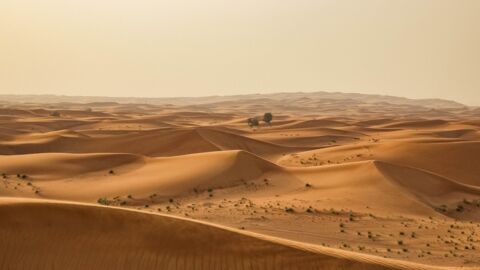 Les plus anciennes couleurs terrestres découvertes au Sahara