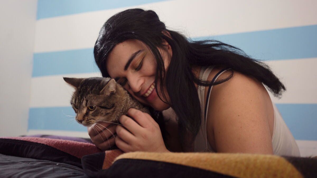 Allergique Aux Chats Les Chercheurs Ont Peut Etre La Solution