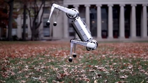 Des chercheurs mettent au point un mini-guépard robotique capable de faire un salto arrière (Vidéo)