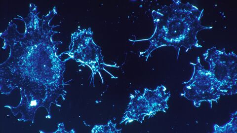 Les chercheurs révèlent les secrets d'un virus tueur de cancer