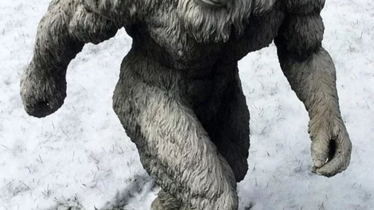 Le Myst re Du Bigfoot Enfin R solu Gr ce Cette Nouvelle tude Mais le-myst-re-du-bigfoot-enfin-r-solu-gr-ce-cette-nouvelle-tude-mais