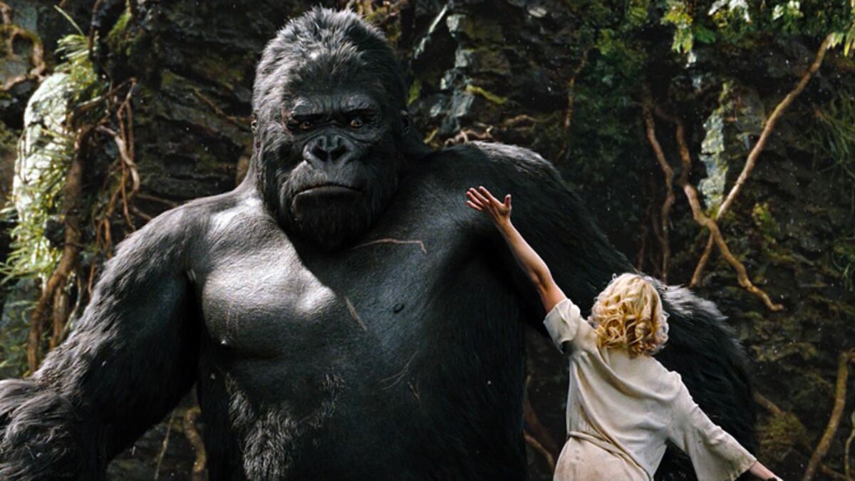 La photo de ce primate en très mauvaise posture est la plus drôle