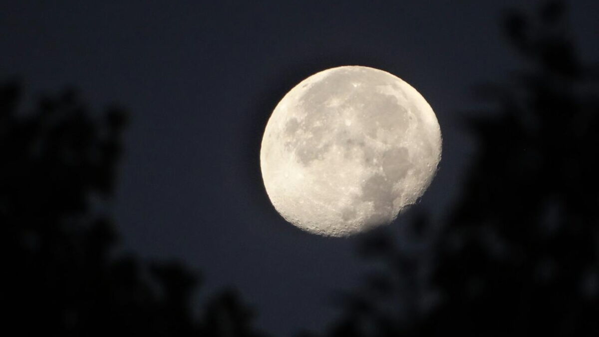 Super pleine lune du Castor, pluie d’étoiles filantes des Taurides… les évènements astronomiques de novembre 2025
