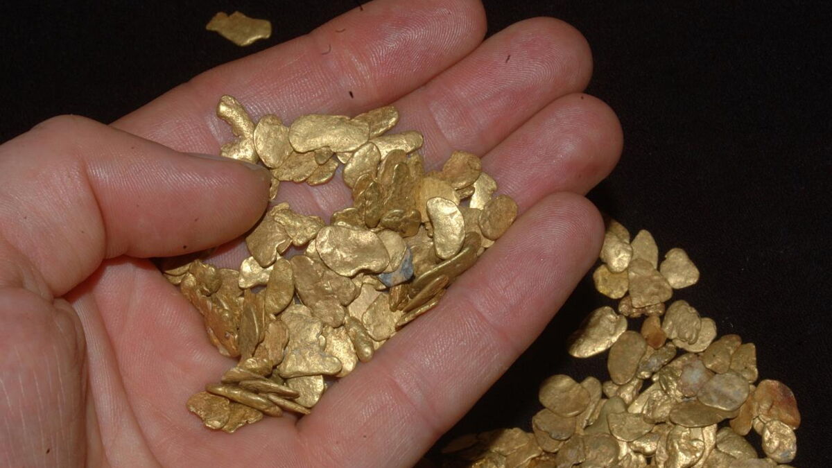 Voici la plus grosse pépite d’or jamais trouvée, elle pesait autant qu’un homme