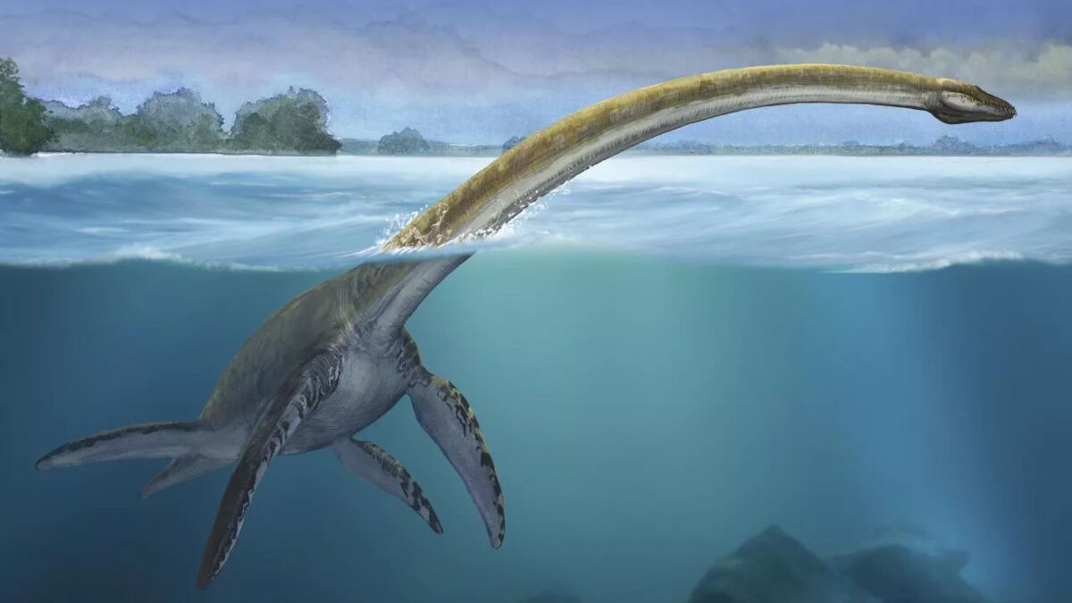LES MONSTRES DES PROFONDEURS (Sea Monsters) - Drop The Spoon