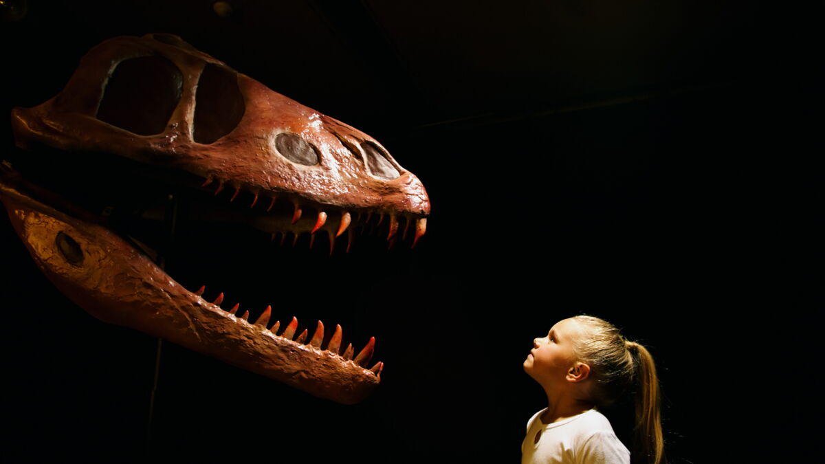 Ce dinosaure de 15 mètres de long avait plus de 500 dents