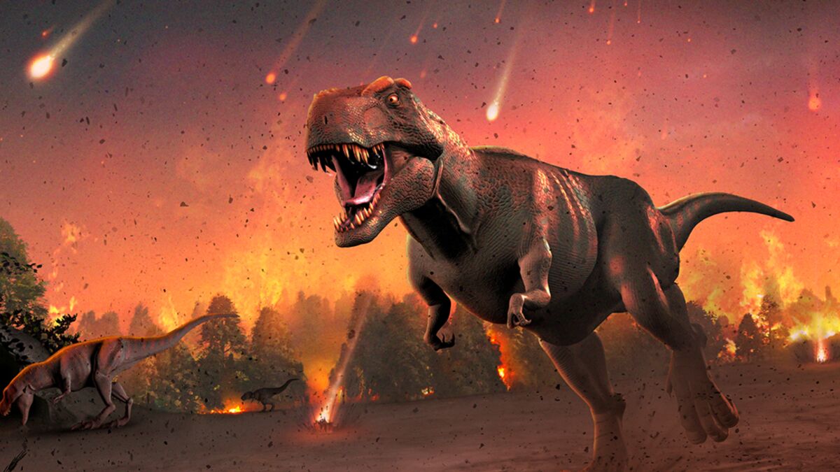 Quelle était la durée de vie des dinosaures ?