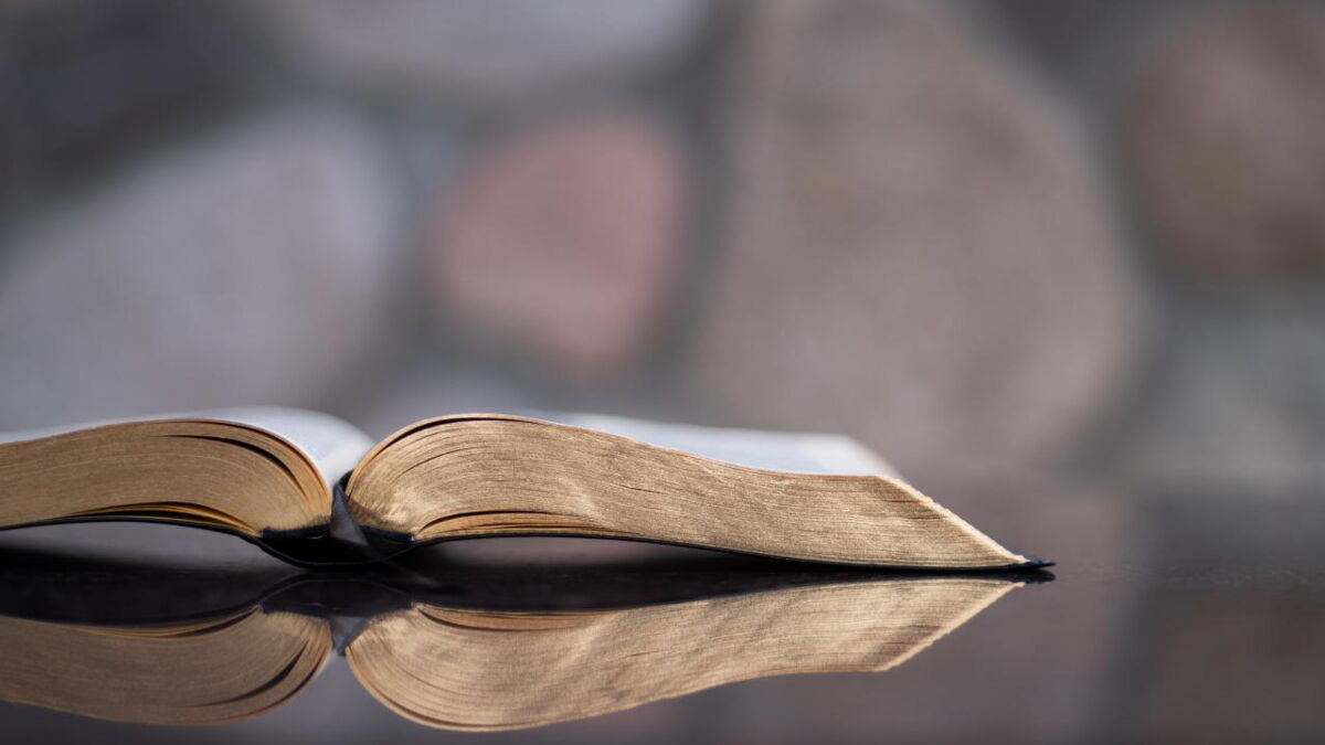 Quelle est la différence entre la Torah et la Bible Quelle est la différence entre la Torah et la Bible